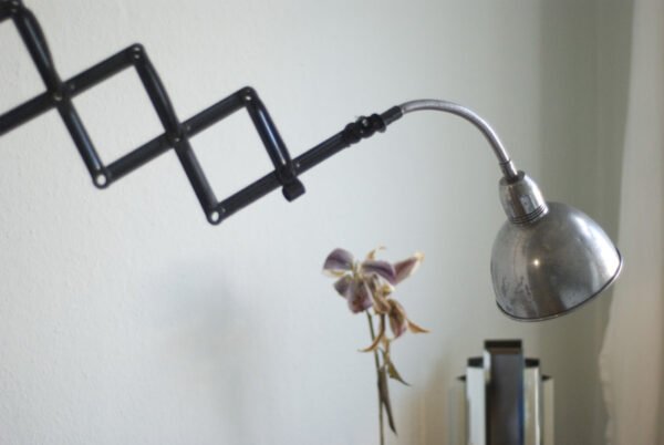 Scissor lamp with gooseneck