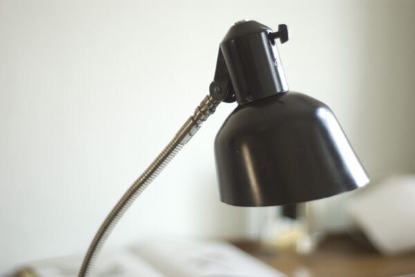 Sis table lamp with gooseneck