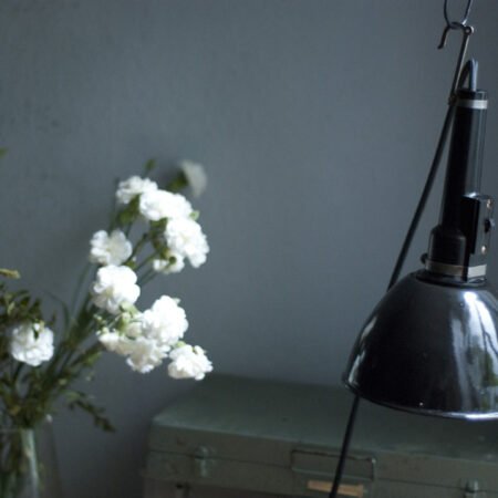 Art deco hanging lamp with bakelite and enamel