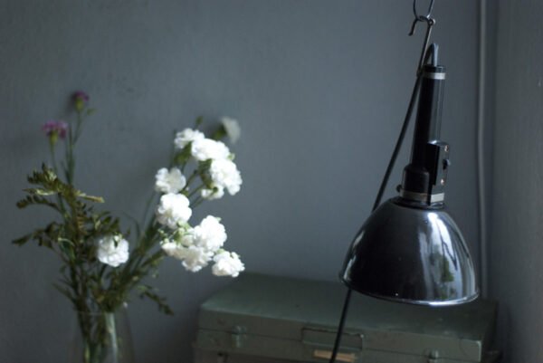 Art deco hanging lamp with bakelite and enamel