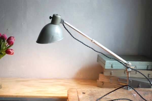 Hala Nesler grey adjustable lamp