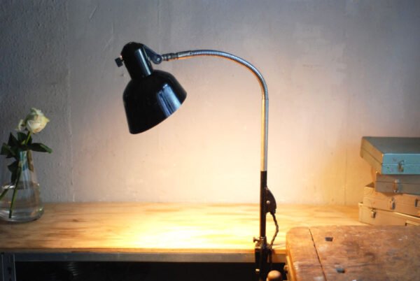 Sis clamp lamp with gooseneck